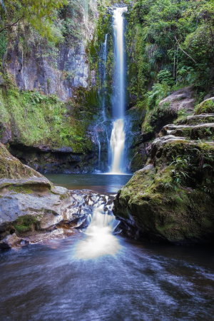 Te Puke region